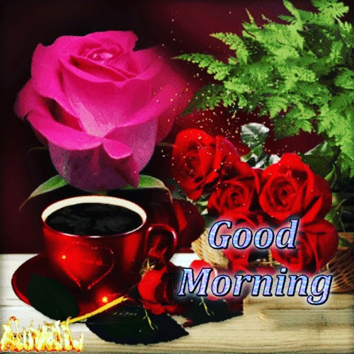 Park «Glendale Park», reviews and photos, 1515 E Ledbetter Dr, Dallas, TX 75216, USA