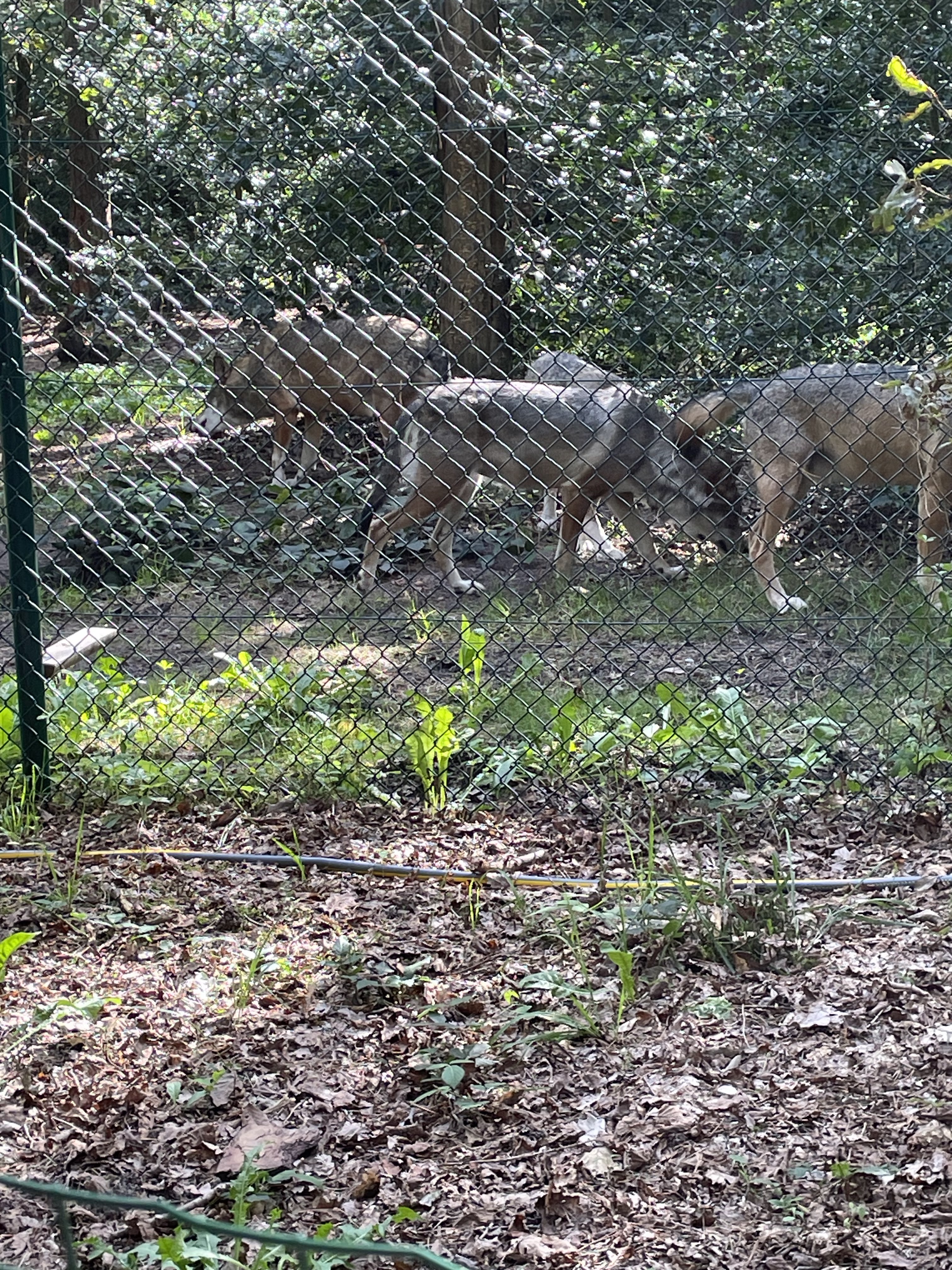 Photo n° 33 de l'avis de catherine.h fait le 22/08/2023 à 10:19