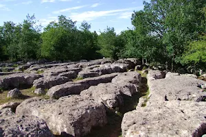 Le Sentier Nature Et Le Labyrinthe Vert image