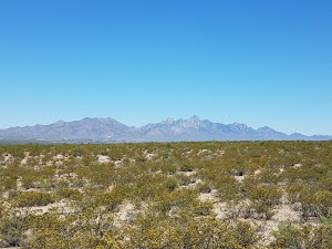 Chihuahuan Desert Nature Park - photo 100
