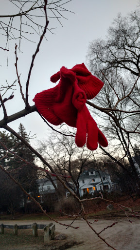 Park «Town of Arlington Menotomy Rocks Park», reviews and photos, 129 Jason St, Arlington, MA 02476, USA