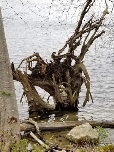 Nature Preserve «Kitchawan Preserve», reviews and photos, 712 Kitchawan Rd, Ossining, NY 10562, USA