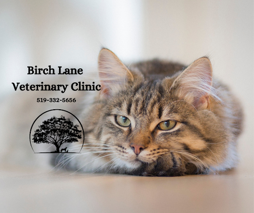 Birch Lane Veterinary Clinic image