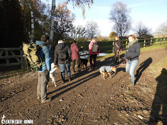 entdecker-hunde.de - Dao und Häfele GbR