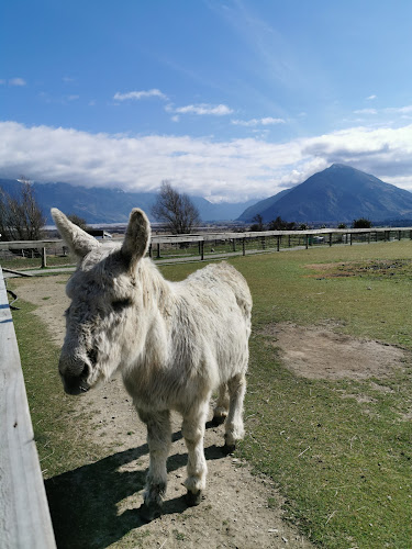 Glenorchy Animal Experience Open Times