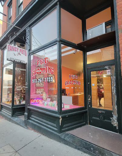 Pet Groomer «Fancy Pets», reviews and photos, 6 Cattano Ave, Morristown, NJ 07960, USA