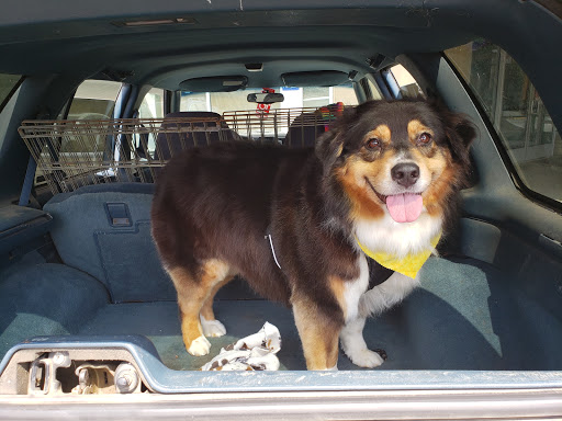 Pet Supply Store «Paws In The Park», reviews and photos, 17833 1st Avenue South, Seattle, WA 98148, USA