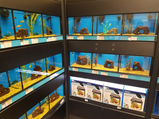 Pet Supply Store «Petco Animal Supplies», reviews and photos, 6842 S Redwood Rd, West Jordan, UT 84084, USA