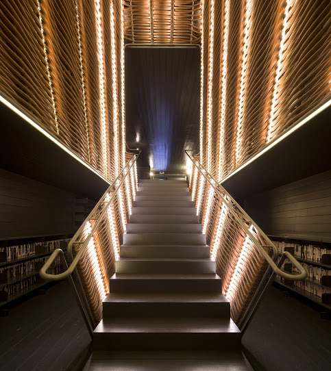 Imagen de Cineteca (24 de 32)