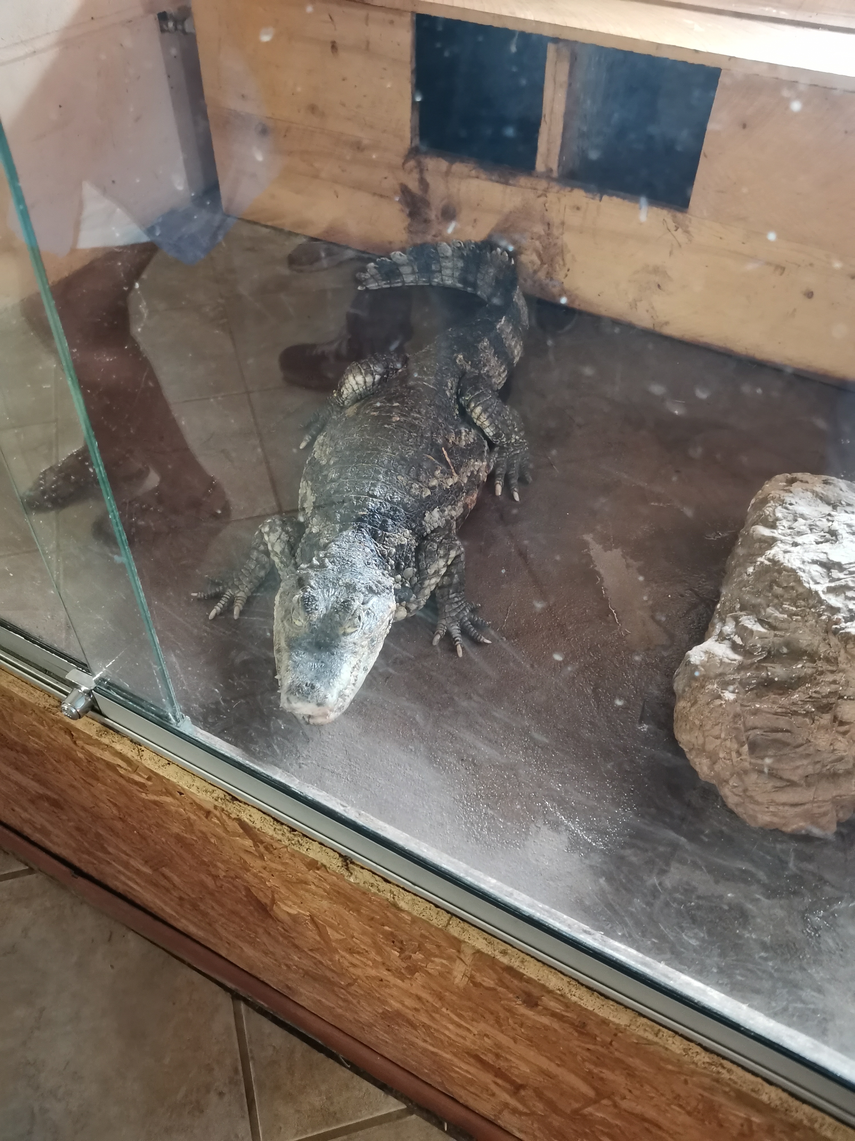 Photo n° 6 de l'avis de jerome. fait le 01/09/2021 à 14:11