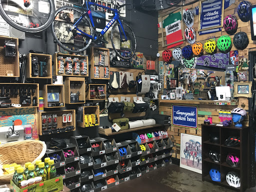 Bicycle Store «The Path Bicycle and Ride Shop», reviews and photos, 647 Cleveland St, Clearwater, FL 33755, USA