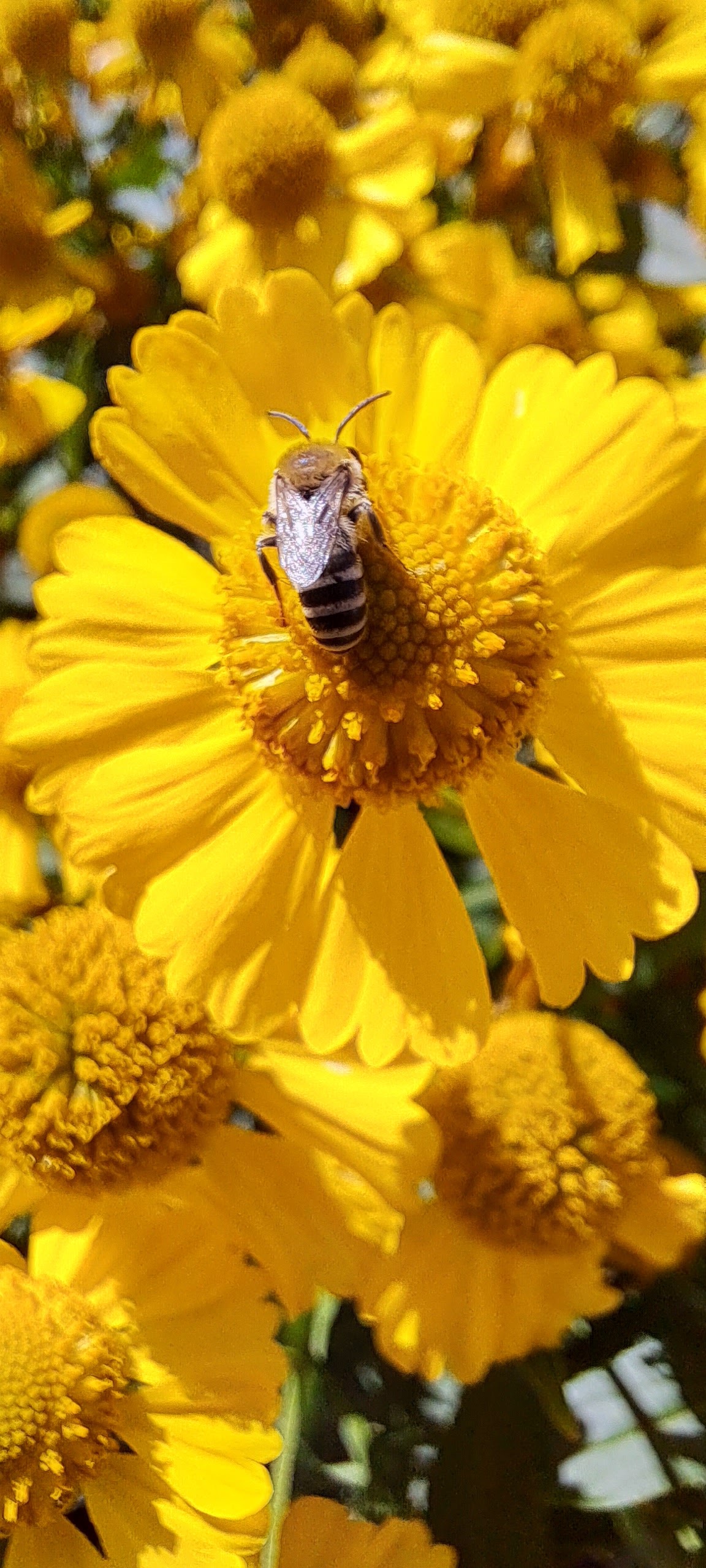 Photo n° 7 de l'avis de Julien.a fait le 28/08/2023 à 16:20