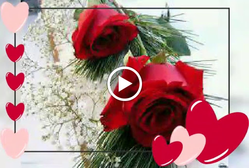 Discount Store «Big Lots», reviews and photos, 250 North US Highway 17-92, Longwood, FL 32750, USA