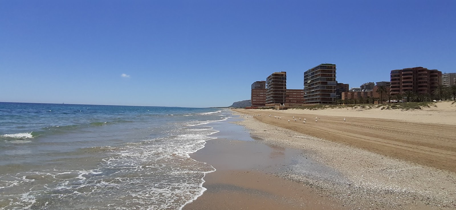 Foto di los Arenales del Sol con una superficie del sabbia marrone
