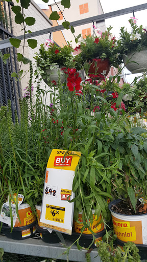 Thrift Store «Goodwill Store & Donation Center», reviews and photos, 746 S Rand Rd, Lake Zurich, IL 60047, USA