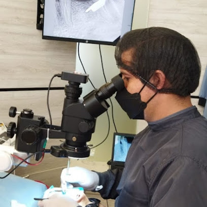 Dr. David Palacios Rodríguez, Dentista - Odontólogo