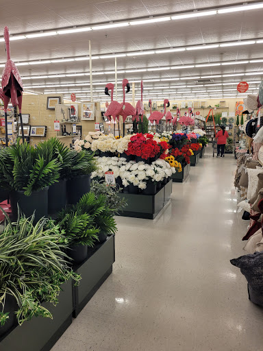 Craft Store «Hobby Lobby», reviews and photos, 14286 Beach Blvd #1, Jacksonville Beach, FL 32250, USA