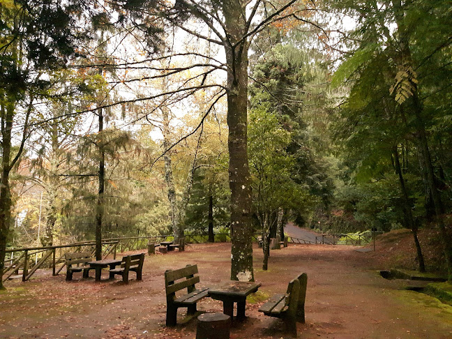 Parque Florestal Pico Das Pedras - Santana