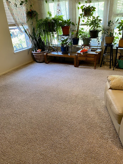 Carpets and More