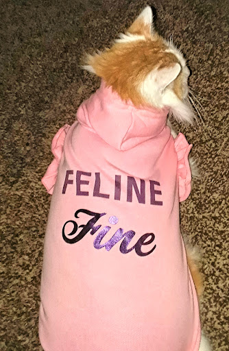 Pet Supply Store «Petco Animal Supplies», reviews and photos, 8966 S Broadway Ave #112, Tyler, TX 75703, USA