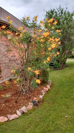 Public Golf Course «Heritage Ranch & Golf Country Club», reviews and photos, 465 Scenic Ranch Cir, McKinney, TX 75069, USA