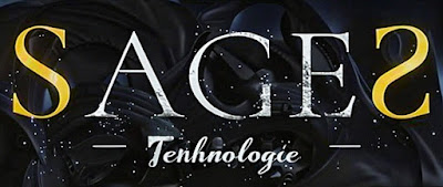 SAGES Technologie [Agence Annoeullin] à Annœullin