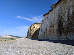 Photo de Petit Ailly Beach avec rivage droit, long