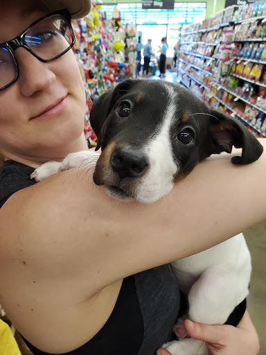 Pet Supply Store «Pet Supplies Plus», reviews and photos, 2912 Council Tree Ave #100, Fort Collins, CO 80525, USA