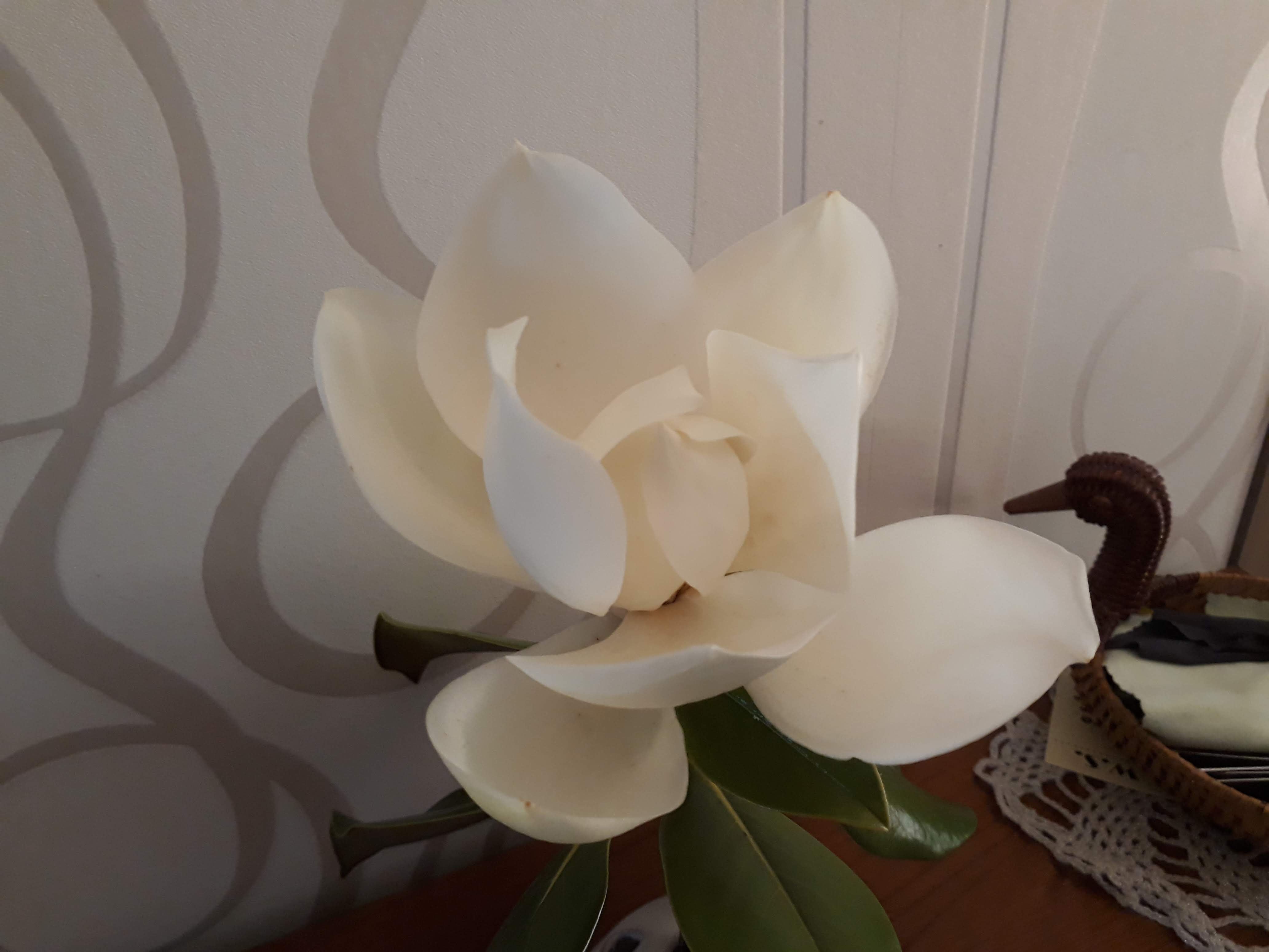 Photo n° 1 de l'avis de Jean.a fait le 28/05/2019 à 06:06