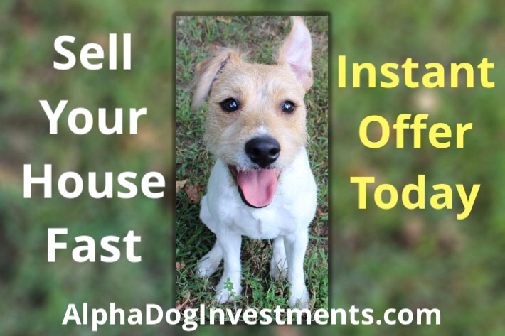 Alpha Dog Investments LLC