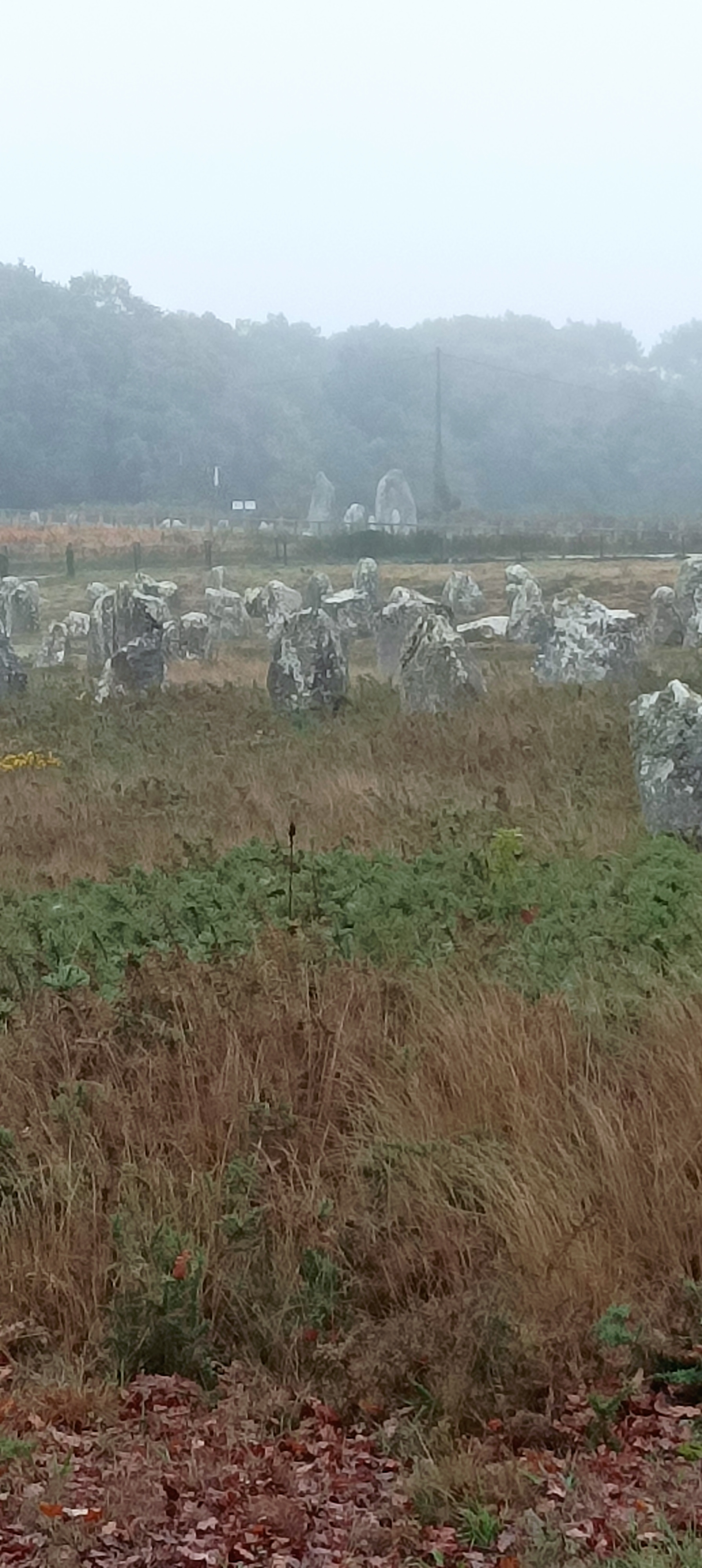 Photo n° 2 de l'avis de Jean-Marc.R fait le 13/10/2022 à 14:08