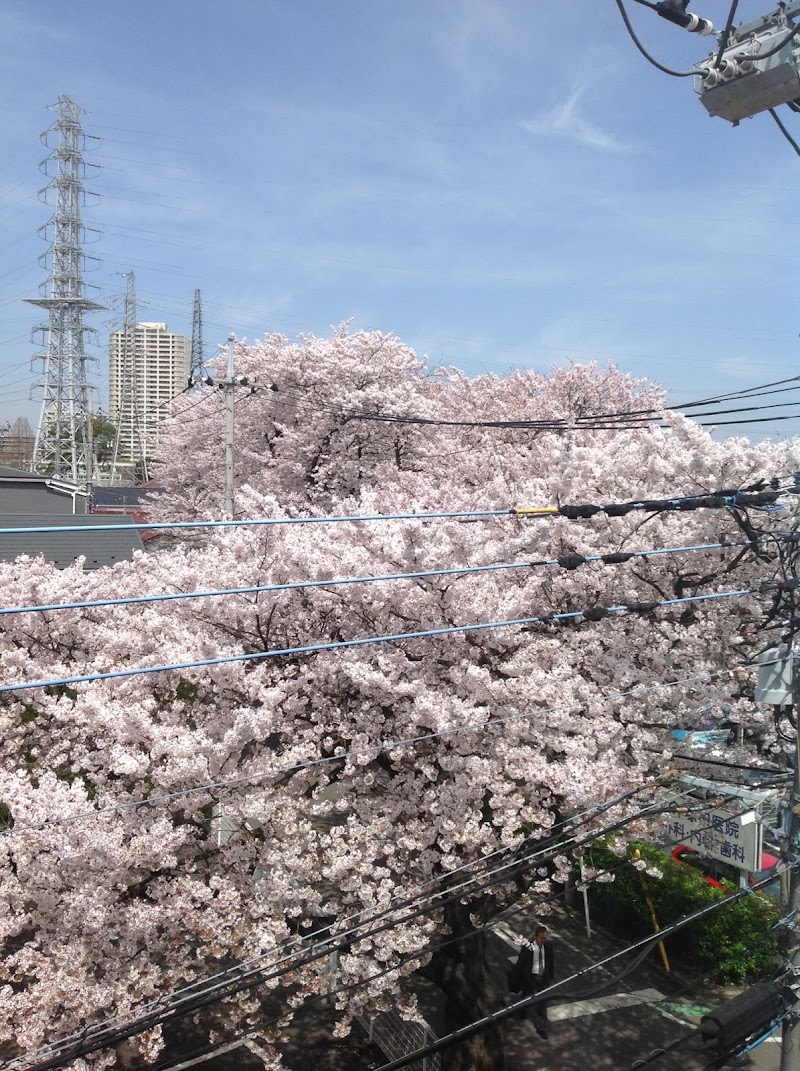 塚田医院