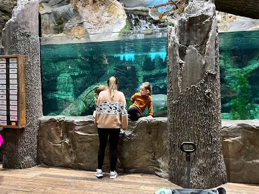 Sporting Goods Store «Bass Pro Shops», reviews and photos, 323 Opry Mills Dr, Nashville, TN 37214, USA