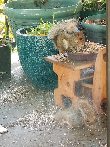 Pet Supply Store «Petco Animal Supplies», reviews and photos, 26209 104th Ave SE, Kent, WA 98030, USA