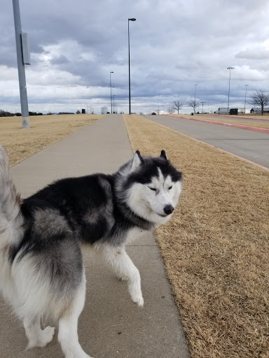 Park «Forney Community Park», reviews and photos, 241 S Farm to Market 548, Forney, TX 75126, USA