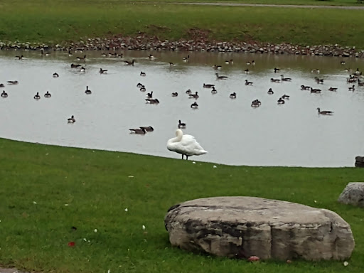 Restaurant «Hidden Valley Animal Adventure», reviews and photos, 2887 Royce Rd, Varysburg, NY 14167, USA