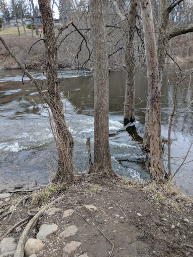 Nature Preserve «Burns-Stokes Preserve», reviews and photos, Zeeb Rd, Dexter, MI 48130, USA