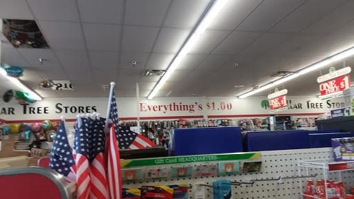 Dollar Store «Dollar Tree», reviews and photos, 941 N Dupont Blvd a, Milford, DE 19963, USA