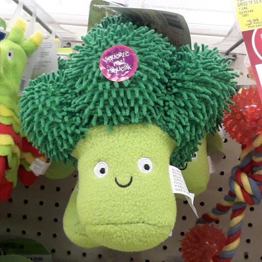 Pet Supply Store «PetSmart», reviews and photos, 155 E Rte 59, Nanuet, NY 10954, USA