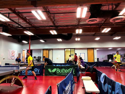Table tennis club Sunnyvale