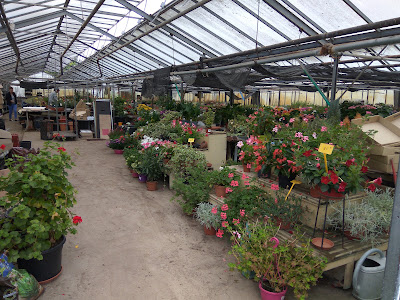 Daniel Rétif horticulteur à La Baule-Escoublac