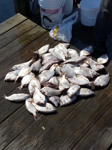 Bay End Marine New York City 1 718 444 7544