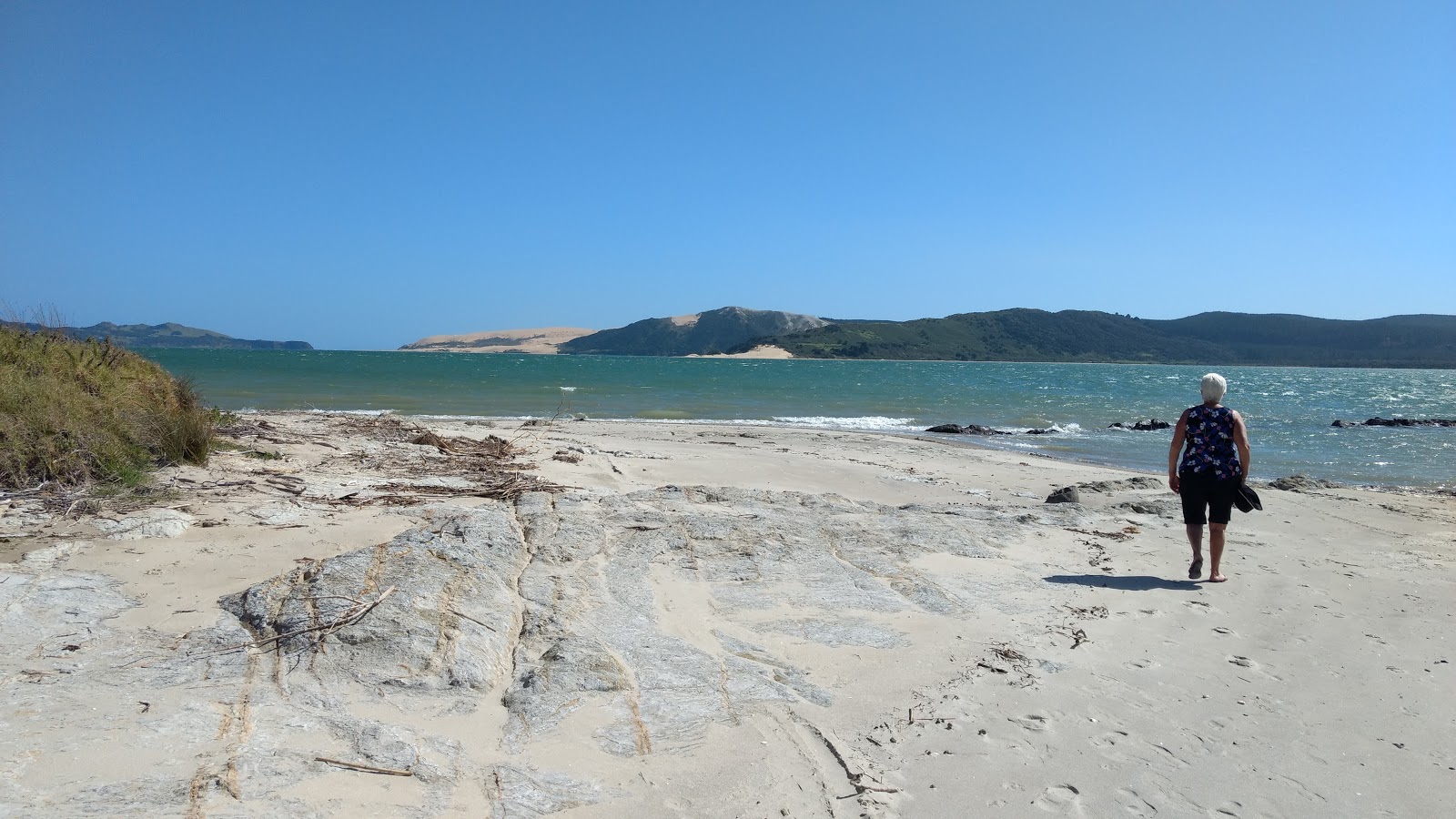 Koutu Beach'in fotoğrafı vahşi alan