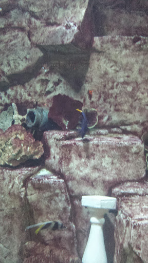 Computer Store «Apple The Forum Shops», reviews and photos, 3500 S Las Vegas Blvd, Las Vegas, NV 89109, USA