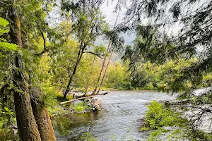 McKenzie River Trail image