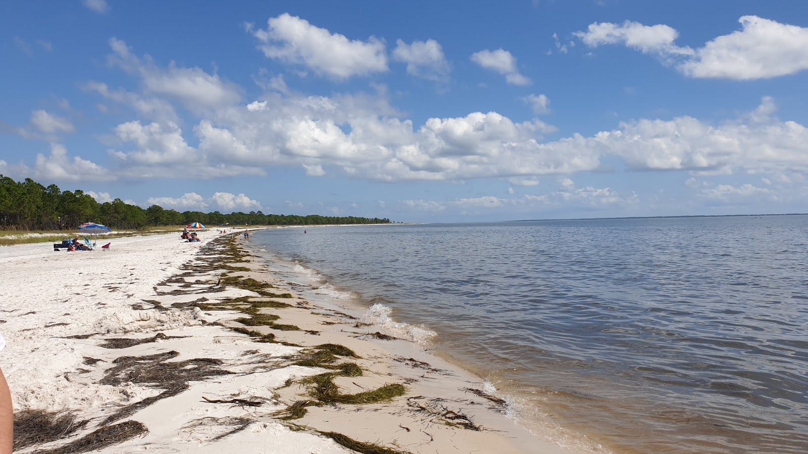 Carrabelle Beach 🏖️ Carrabelle Beach, Florida, United States - detailed  features, map, photos, image size:1600x900