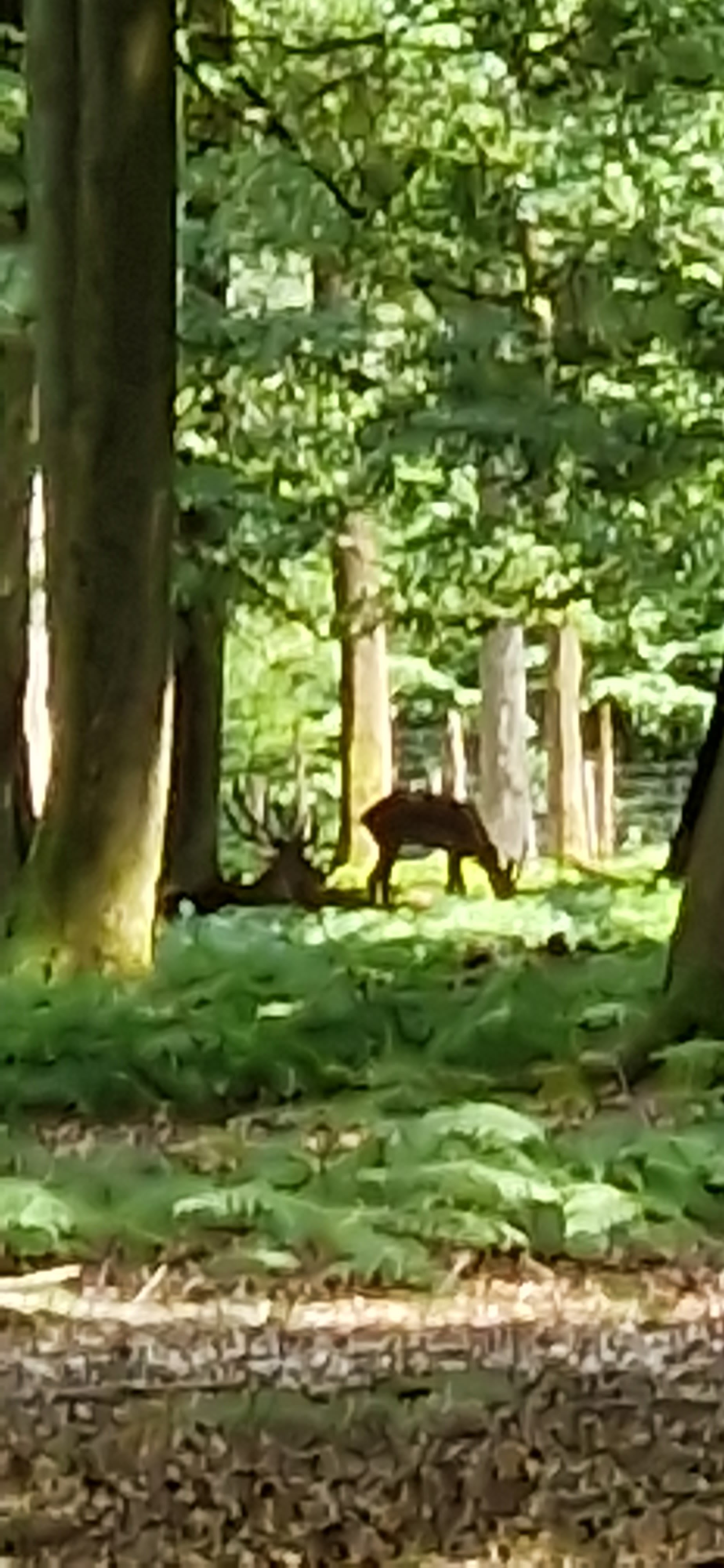 Photo n° 2 de l'avis de Angélique.e fait le 07/07/2023 à 15:46