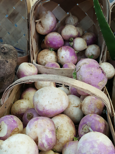 Produce Market «Jams Produce», reviews and photos, 1451 Clearwater Largo Rd N, Largo, FL 33770, USA