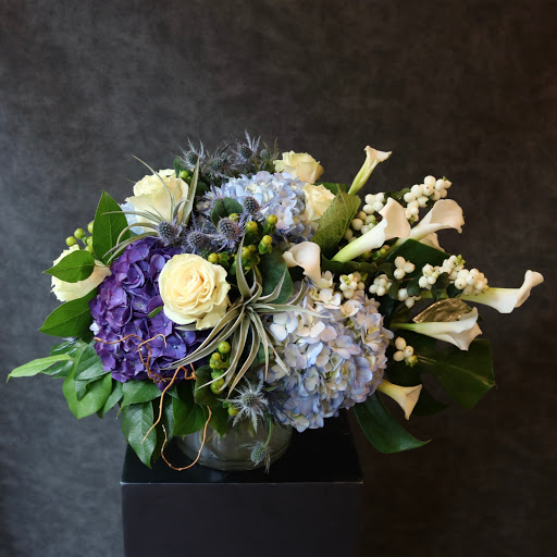 Florist «Chevy Chase Florist», reviews and photos, 5415 Friendship Blvd, Chevy Chase, MD 20815, USA