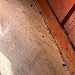 Photo n°2 de l'avis de Maris.o fait le 16/07/2023 à 10:46 sur le  Hotel Ristorante Europa à Pietracamela